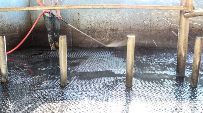 Man cleaning rubber mats in a farm