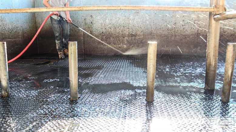 Rubber mats in a farm being cleaned